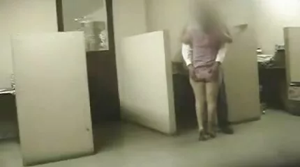 सुनहरे बालों वाली सेक्सी फिल्म फुल एचडी सेक्सी फिल्म फुल एचडी समलैंगिक गधा बेब और चुंबन अलग